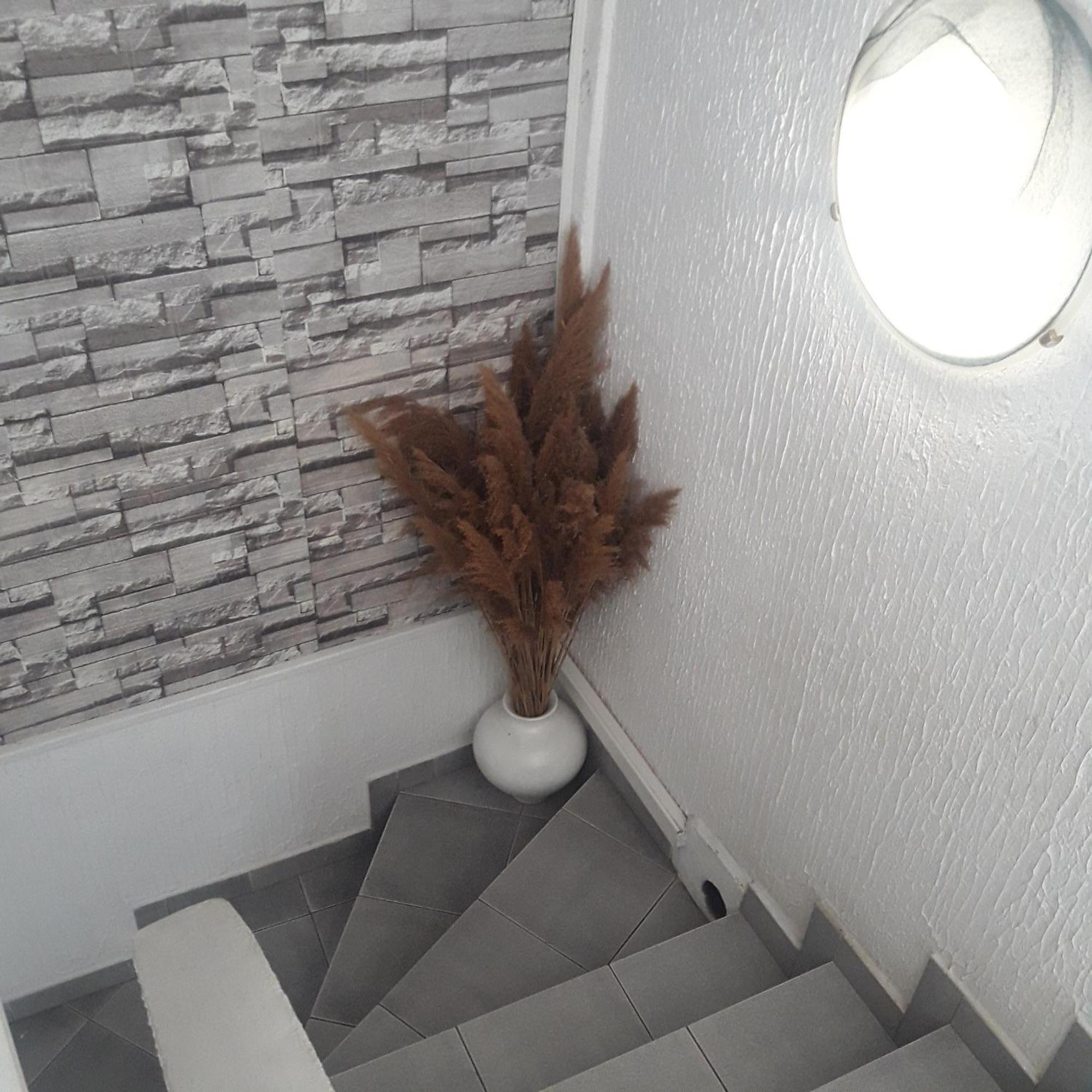 Apartmani Nis Ngoại thất bức ảnh